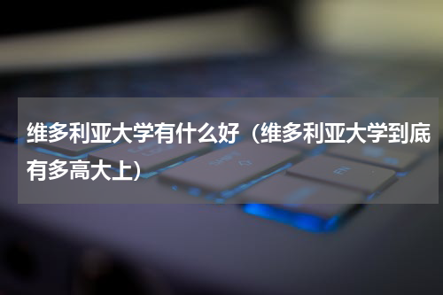 维多利亚大学有什么好（维多利亚大学到底有多高大上）