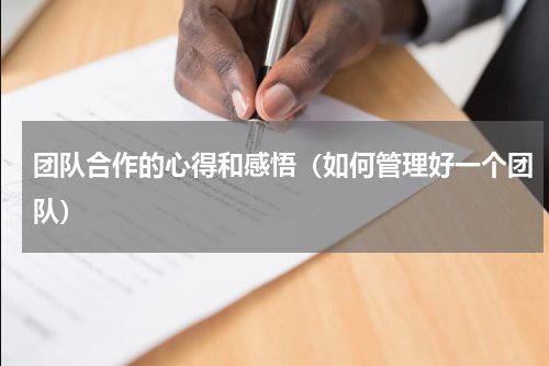 团队合作的心得和感悟（如何管理好一个团队）