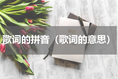 歌词的拼音（歌词的意思）