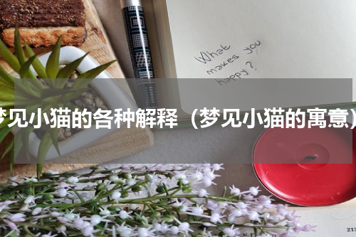 梦见小猫的各种解释（梦见小猫的寓意）