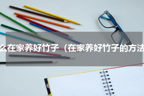 怎么在家养好竹子（在家养好竹子的方法）