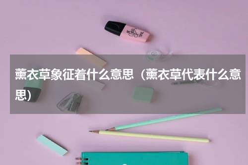 薰衣草象征着什么意思（薰衣草代表什么意思）