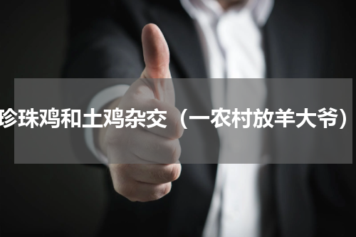 珍珠鸡和土鸡杂交（一农村放羊大爷）
