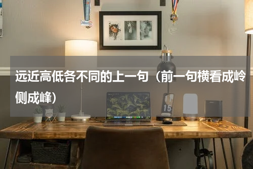 远近高低各不同的上一句（前一句横看成岭侧成峰）