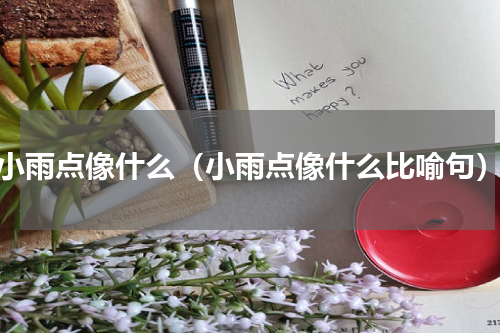 小雨点像什么（小雨点像什么比喻句）