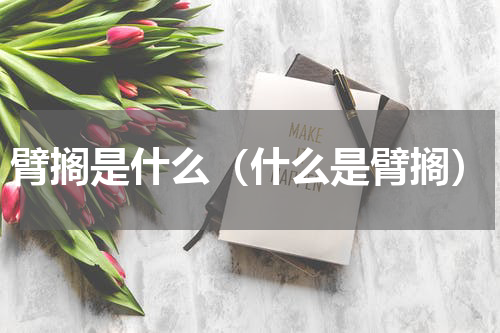 臂搁是什么（什么是臂搁）