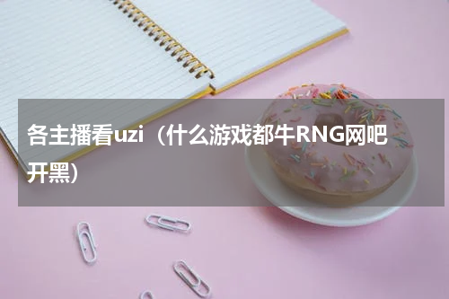 各主播看uzi（什么游戏都牛RNG网吧开黑）