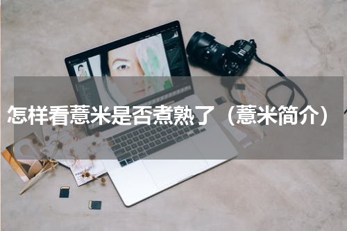 怎样看薏米是否煮熟了（薏米简介）