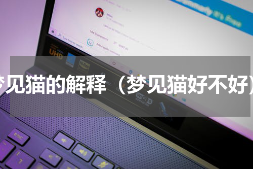 梦见猫的解释（梦见猫好不好）