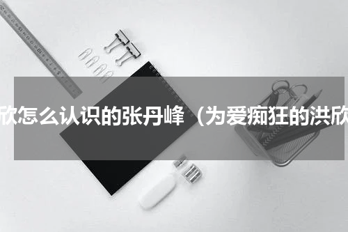 洪欣怎么认识的张丹峰（为爱痴狂的洪欣）