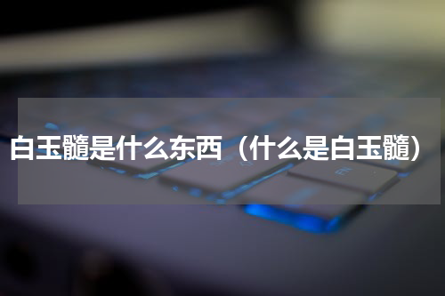 白玉髓是什么东西（什么是白玉髓）
