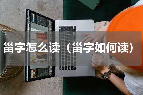 甾字怎么读（甾字如何读）