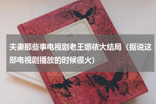 夫妻那些事电视剧老王娜依大结局（据说这部电视剧播放的时候很火）
