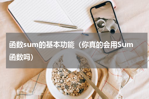 函数sum的基本功能（你真的会用Sum函数吗）