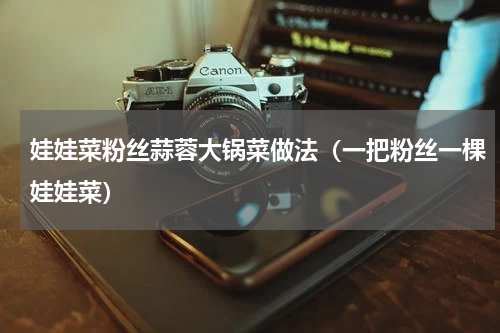 娃娃菜粉丝蒜蓉大锅菜做法（一把粉丝一棵娃娃菜）