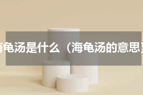海龟汤是什么（海龟汤的意思）