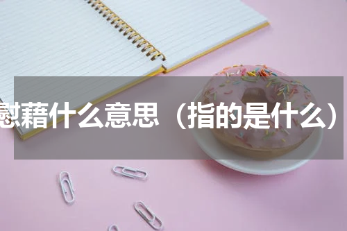 慰藉什么意思（指的是什么）