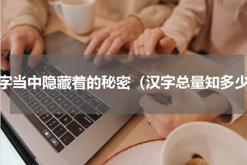 汉字当中隐藏着的秘密（汉字总量知多少）