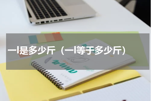 一l是多少斤（一l等于多少斤）
