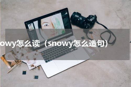 snowy怎么读（snowy怎么造句）