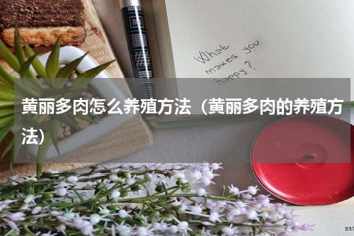 黄丽多肉怎么养殖方法（黄丽多肉的养殖方法）