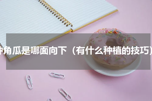 种角瓜是哪面向下（有什么种植的技巧）