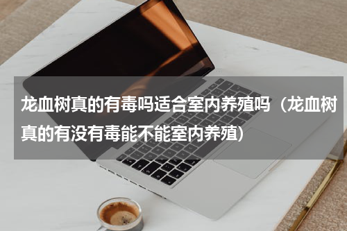 龙血树真的有毒吗适合室内养殖吗（龙血树真的有没有毒能不能室内养殖）
