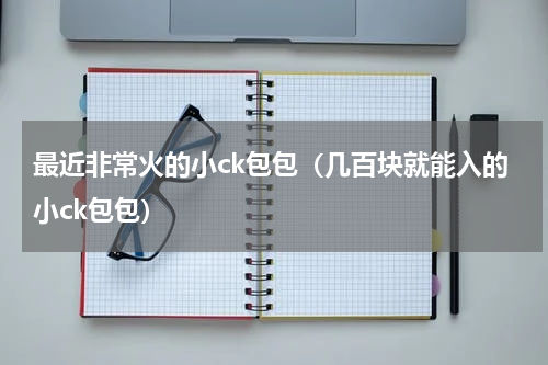 最近非常火的小ck包包（几百块就能入的小ck包包）