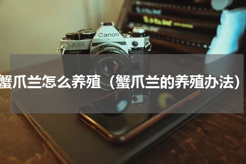 蟹爪兰怎么养殖（蟹爪兰的养殖办法）