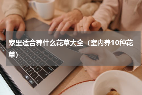 家里适合养什么花草大全（室内养10种花草）