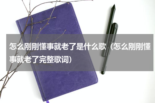 怎么刚刚懂事就老了是什么歌（怎么刚刚懂事就老了完整歌词）