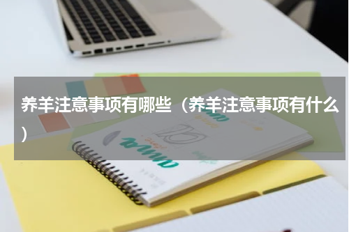 养羊注意事项有哪些（养羊注意事项有什么）