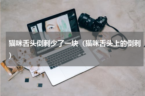 猫咪舌头倒刺少了一块（猫咪舌头上的倒刺）