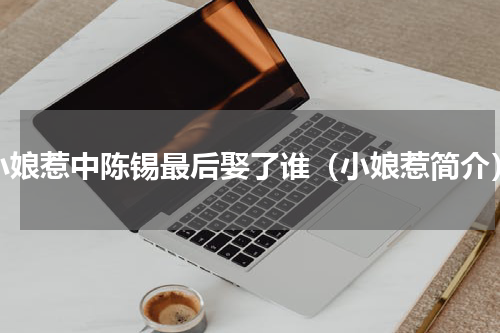 小娘惹中陈锡最后娶了谁（小娘惹简介）