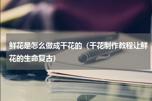 鲜花是怎么做成干花的（干花制作教程让鲜花的生命复古）