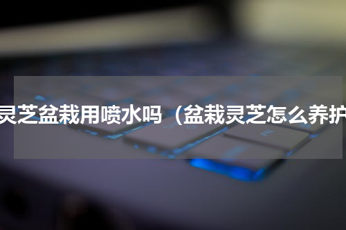 活灵芝盆栽用喷水吗（盆栽灵芝怎么养护）