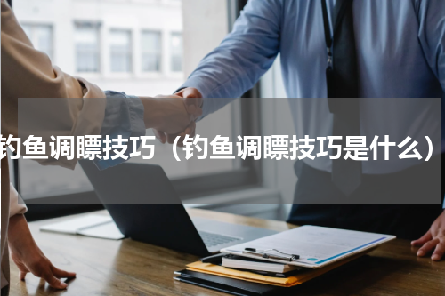 钓鱼调瞟技巧（钓鱼调瞟技巧是什么）