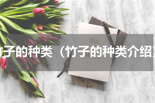 竹子的种类（竹子的种类介绍）