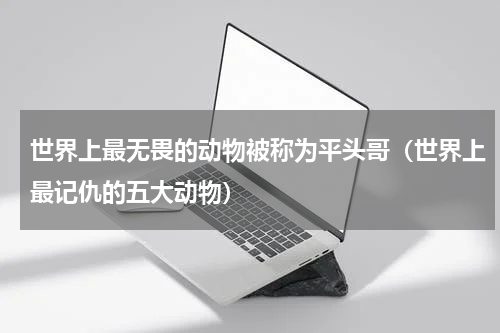 世界上最无畏的动物被称为平头哥（世界上最记仇的五大动物）