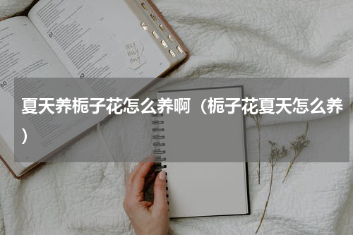 夏天养栀子花怎么养啊（栀子花夏天怎么养）