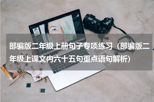 部编版二年级上册句子专项练习（部编版二年级上课文内六十五句重点语句解析）