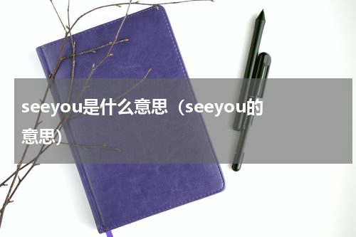 seeyou是什么意思（seeyou的意思）