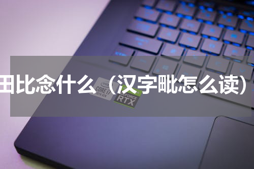 田比念什么（汉字毗怎么读）