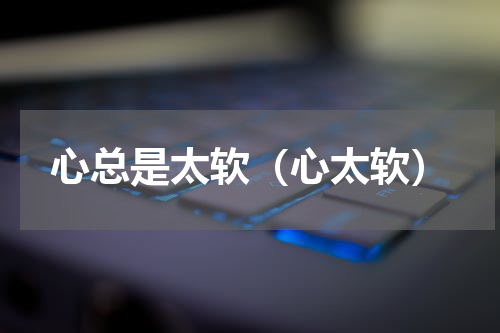 心总是太软（心太软）