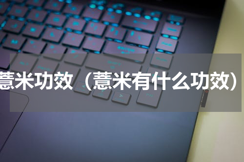薏米功效（薏米有什么功效）