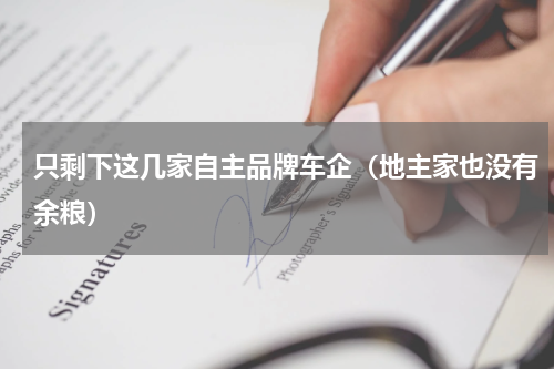 只剩下这几家自主品牌车企（地主家也没有余粮）