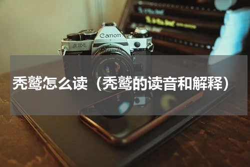 秃鹫怎么读（秃鹫的读音和解释）