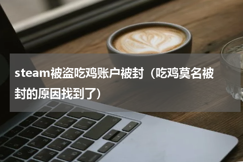 steam被盗吃鸡账户被封（吃鸡莫名被封的原因找到了）