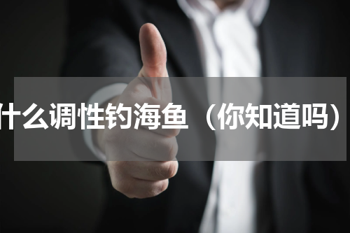 什么调性钓海鱼（你知道吗）