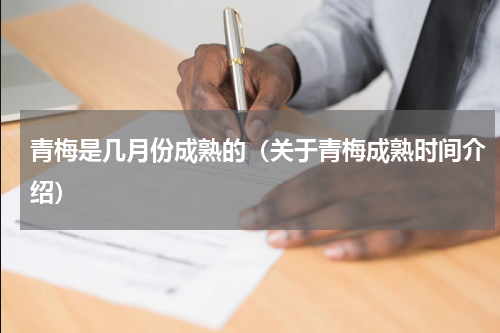 青梅是几月份成熟的（关于青梅成熟时间介绍）